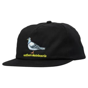 Anti Hero - Lil Pigeon Snapback Black/Yellow